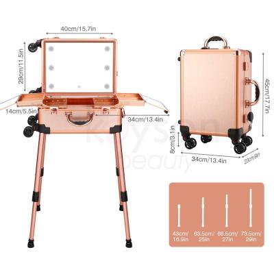 China Fashion Keyson Professional Makeup Trolley With Large Capacity Lighted Aluminum Makeup Case Makeup Train Case With Light for sale