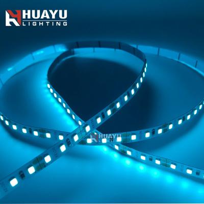 China Theme park flexible 120leds/m led strip light SMD5050 SMD2835 SMD 3528 60leds/m 12V 24V with sky ice blue color for sale