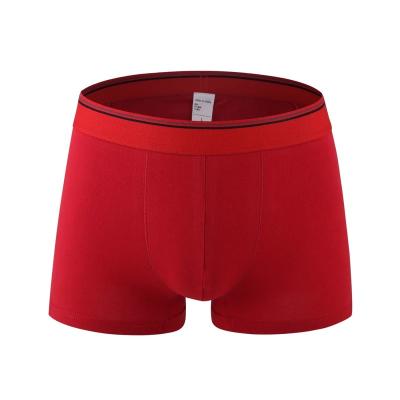 China OEM Wholesale Antibacterial Underwear Man Boxer Shorts Mens Briefs Panties Briefs Cotton Boxer Shorts for sale