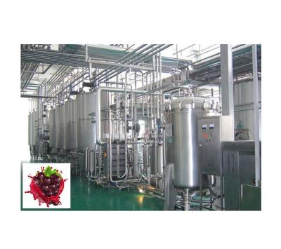 Cina Factory GRAPE WINE FRUIT WINE WINE PROCESSING LINE in vendita