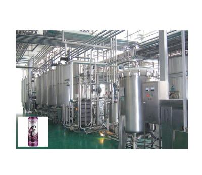 China Factory CIDER MAKING MACHINE LIQUEUR WINE BLACKBERRY CIDER PROCESSING PLANT en venta