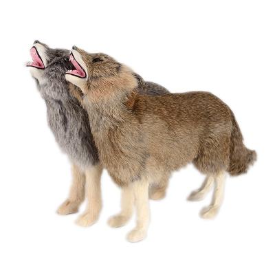 China Universal simulation wolf model ornaments leather fur open home decoration photography props teaching show wolf model for sale