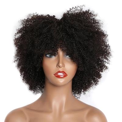 China Best Selling Curly Kinky Curly Haircut Wig For Black Women for sale