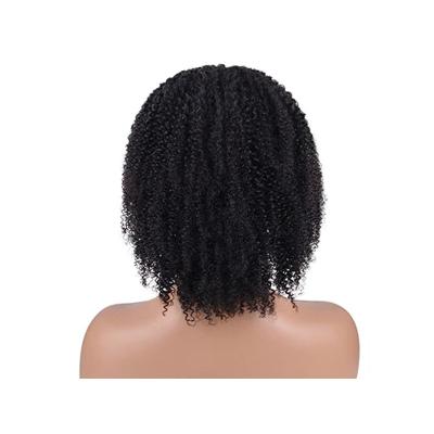 China Hot Sale Wigs Curly Wig Afro Curly Curl Hair Bundles Curly for sale