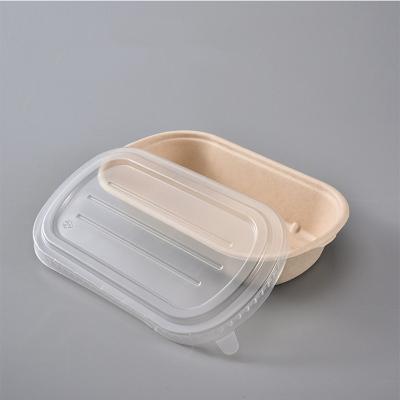 Chine conteneur sulfurisé à micro-ondes de vaisselle biodégradable de bagasse de 850ml 1000ml avec le couvercle à vendre