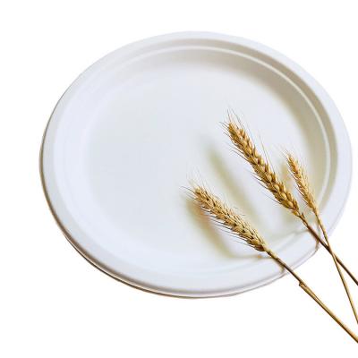 Chine Le plat 10in biodégradable renouvelable Pfas de vaisselle de bagasse de 8in libre sortent des conteneurs à vendre