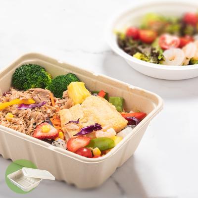 Chine aliments de préparation rapide Eco de bagasse de 450ml 550ml de salade biodégradable naturelle de vaisselle à aller conteneurs à vendre