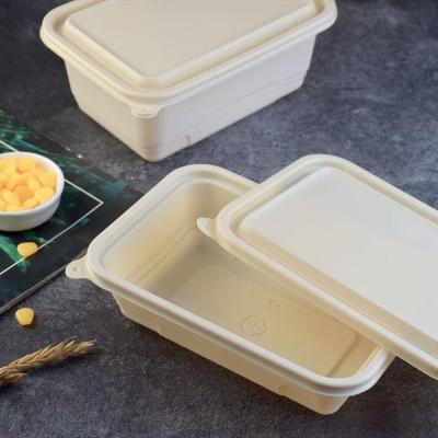 China 500 600ML Disposable Compostable Cornstarch Meal Lunch Box Fast Food Packaging Box for sale