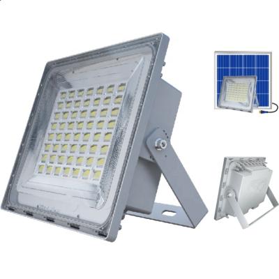 China 2021 LANDSCAPE New Design 50w Outdoor Super Bright Led Solar Flood Light for sale