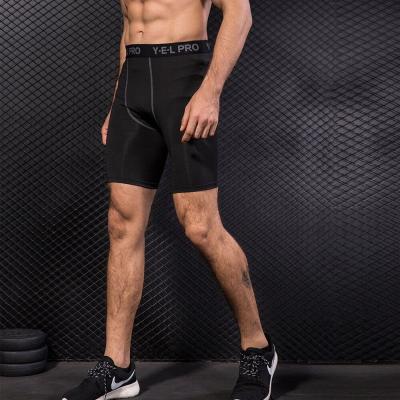 China Antibacterial Sports Fitness Men Activewear Spandex Training Tights Gym Compression Shorts dropshipping for sale