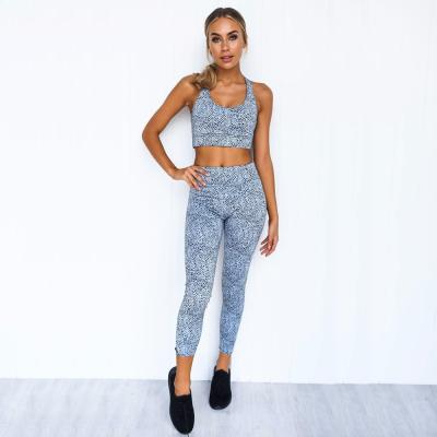 China 2020 Antibacterial Two Piece Sets Sportswear Yoga Suit Set Fitness Wear Women Workout Clothing Drop Shipping for sale