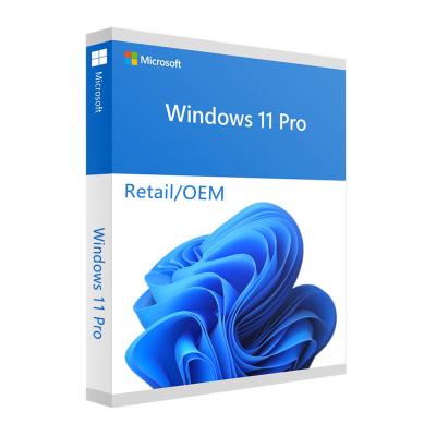 China 100% Working 24 Hours High Quality Digital Master Email Win 11 Pro OEM Key Globally Sending 100% Activation Online Win 11 Pro Key for sale