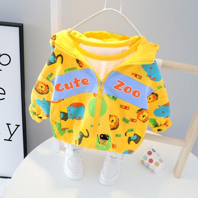 China A791 Spring&Autumn new arrival hooded zipper coat kids breathable little kids wear outwear for sale