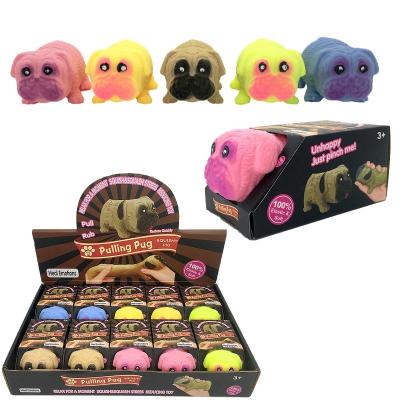 China Squeezable Novelty Dog TPR Stretch Compression Toys Decompression Squishy Traction Animal Soft Gift Box Anti Sensory Stress Toys for sale