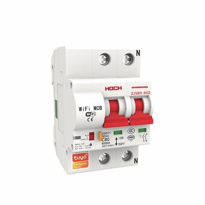 China HOCH 2P Tuya Long Life Auto Wifi Remote Control Smart Motor Controlled Circuit Breaker IC=6kA NIC=6kA for sale