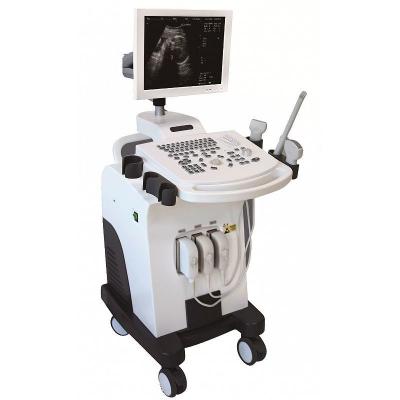 China Full-digital Trolley Ultrasound Machine for sale