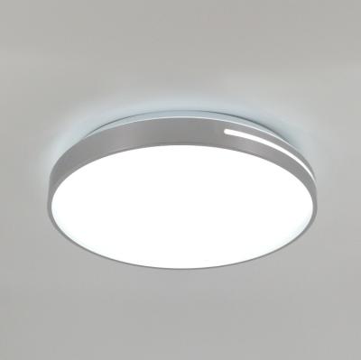 China Zhongshan 2020 Luxury Ceiling Lights Factory Modern Silver Acrylic Cover Lighting 36W Led Ceiling Plafon for sale