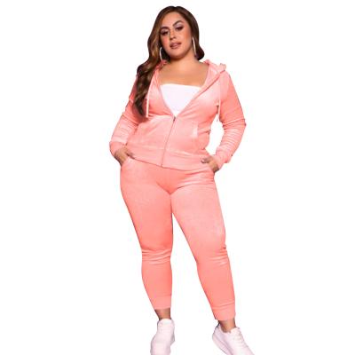 China 2021 Viable Winter Women Velvet Velor Suit Two Piece Sets Jogging Tracksuits Wholesale Gaiters 2 Pieces for sale