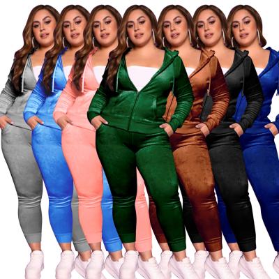 China 2021 Plus Size Women Breathable Clothing Velvet Two Piece Pants Set Winter Outfits With 2 Piece Hoodie Se for sale