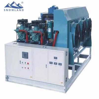 China Malaysia factory hot sale flake ice machine with 3.0t capacity for sale