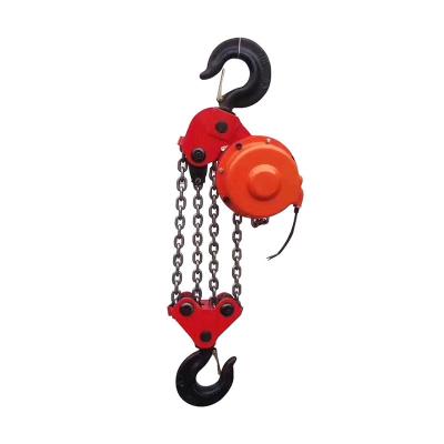 China Construction site lifter 500 kg chain pulley block 12v china crane block hoist brands electric mini hoist for sale