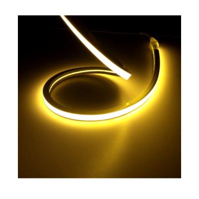 China LANDSCAPE Strip Light Waterproof IP65 Neon Lamp For House Sign Garden Decoration 12V Flexible for sale