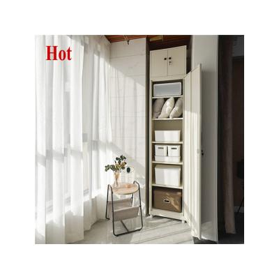 China Single Balcony Wardrobe Storage Double Door (Waist) Living Room Adjustable Home Wardrobe Accessories Locker for sale