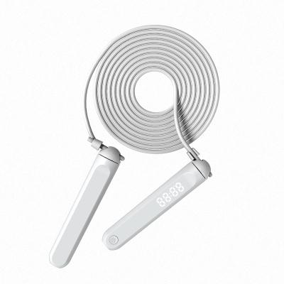 China Hot Selling Fitness Exercise OEM Figure Disc Jump Rope Smart Jump Rope With Digital Counter for sale