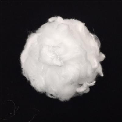 China Anti-pilling 0.9-80D Nylon6 Polyamide Staple Fiber Nylon Low Price for sale