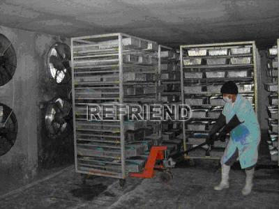 China BP air blast freezer for sale