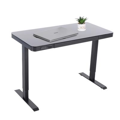 China Newly Developed Professional Furniture Adjustable Height Glass Computer Desk (Height) for sale