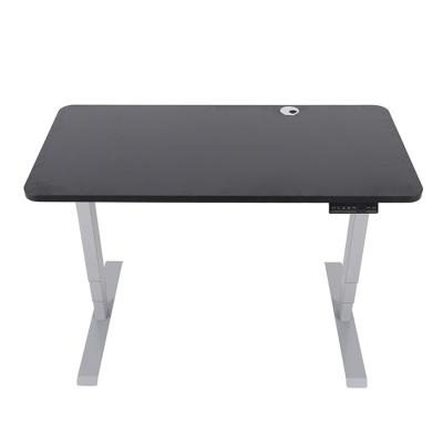 China Unique Design Dual Adjustable Motor Position (Height) Modern Motorized Desk With Favorable Price for sale