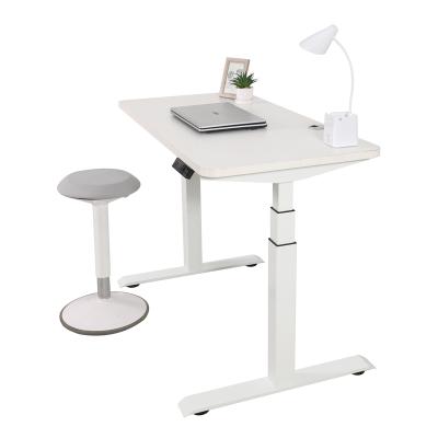 China Hot Selling Adjustable Electric Height Computer Desk (Height) Adjustable Desk for sale