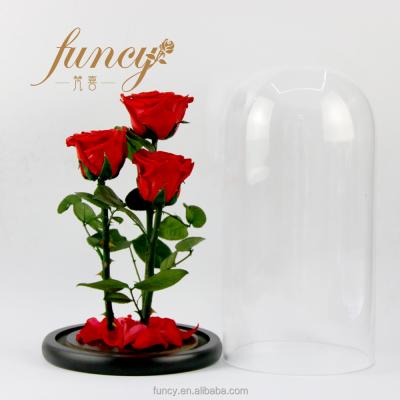 China Wholesale Gift 3 Pcs Roses in Glass Dome Preserved Forever Kunming City Roses Flowers for sale