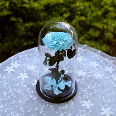 China Wholesale Gift Design Kunming New Grade Preserved Glass Eternal TiffanyBlue Rose Single Color Flower for sale