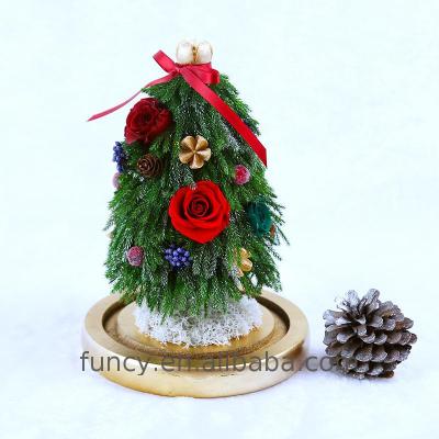 China 2017 Hot New Products Preserved Pine Desktop Preserved Pine Christmas Tree With Led Light Decoration for sale