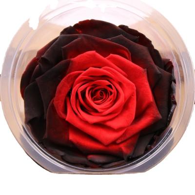 China Natural Fresh Rose Bud Preserved 10 cm Large Fresh Natural Eternal Preserved Rose Head for sale