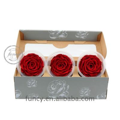 China 7-8 cm grade dark red color preserved flowers of eternity roses 7-8 cm for sale