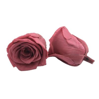 China Preserved Rose Wholesale 70 Colors Best Quality Size Real Natural Eternal Preserved Roses Heads for sale