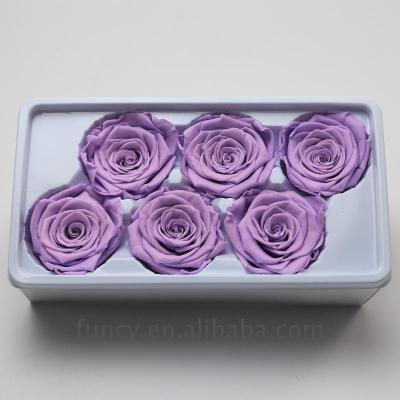 China Best Quality 5-6cm Natural Fresh Pink Flowers Purple Color Natural Immortal Roses Preserved by Yunnan FuncyFlora for sale