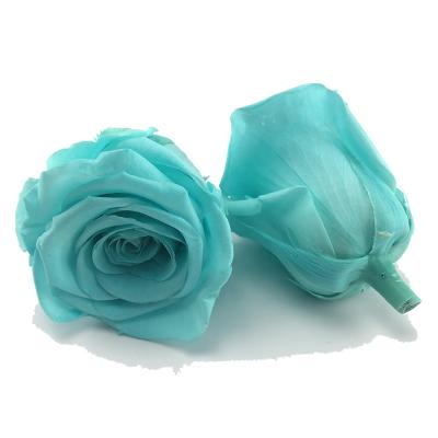 China Natural Rose Size 4-5 cm 39 Colors Preserved Real Natural Long Lasting Eternity Roses Head For DIY Flower Box Forever for sale