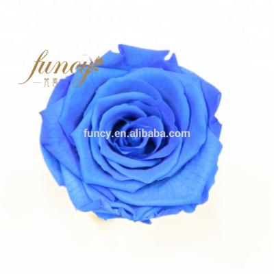 China Decoration 4-5cm Customized Long Lasting Preserved Preserved Rose Flowers For Christmas for sale