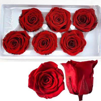 China Wholesale Rose Preserved Forever Immortal Rosas Eternal Preservadas Rose Wholesale Preserved Red Flower Arrangement for sale