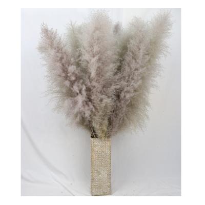 China Natural Touch Products 120 cm Gray Color Natural Dried Large Hot Selling Pampas Grass For Decorations for sale