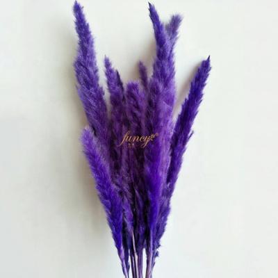 China Wedding decoration & WEDDING Gift 2021 Wholesale Home Wedding Supplies Luxury Decorative Colores Dried Flowers Grass Pampas Gift Sets for sale