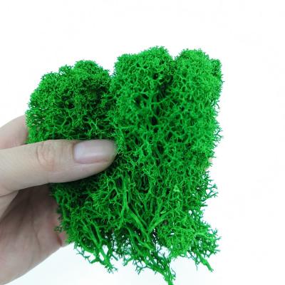 China Eco-friendly Natural Green Reindeer Moss Stabilized Preserved Moss Wall Decoration for sale