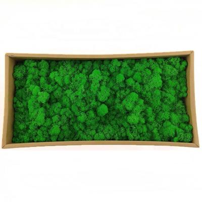 China Moss Wall Decoration Preserved Stabilized Home Decor Reindeer Moss Home Decoration Accessories Perfect Home Decor for sale