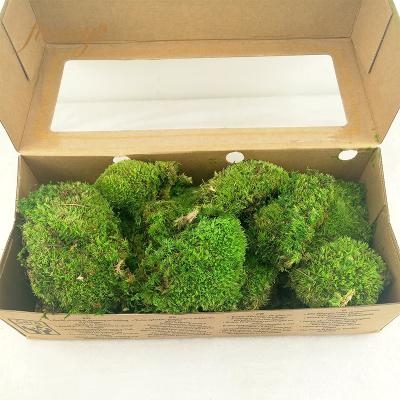 China Real Plant Wild Moss Top Circle Pole Forest Lichen Preserved For House Decoration for sale