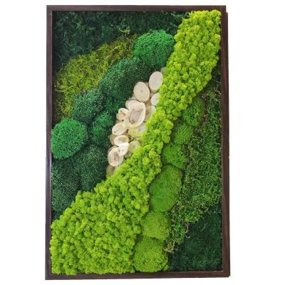 China Wholesale Durable Preserved Reindeer Moss Moss Wall Decoration Modern Green Moss Wall Stabilized Wall Decoration for sale