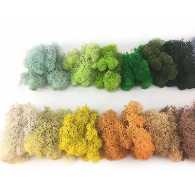 China Durable Office Decoration Preserved Moss Wall Reception Background Green Stabilized Moss Wall for sale